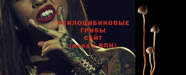 прущий лед Елабуга