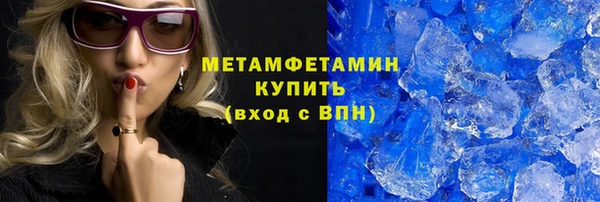 прущие грибы Дмитров