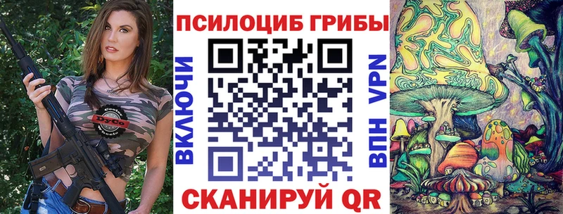 Галлюциногенные грибы Psilocybe  Буйнакск 